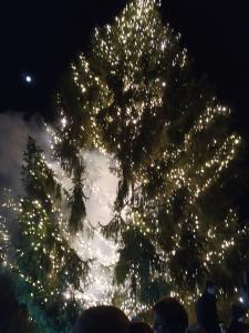 Novoletno drevo (Foto MČC)